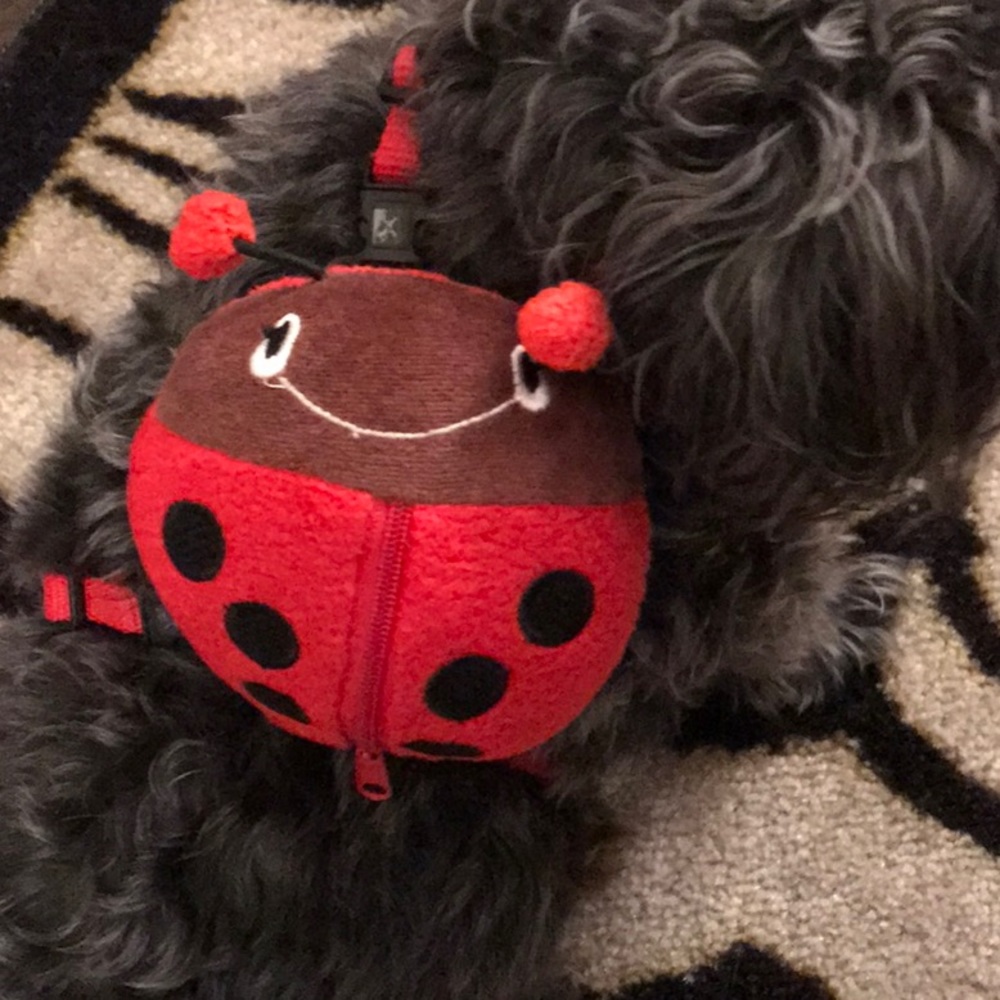 NEW Doggy ladybug harness backpack  - Picture 8 of 8